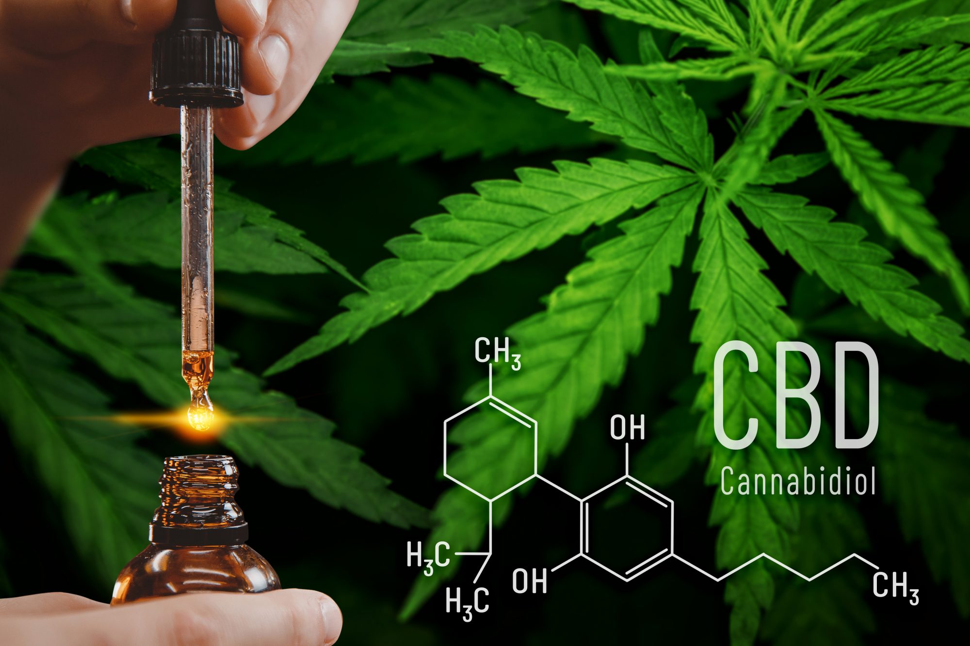 The Healing Potential Of CBD And Use For Insurances